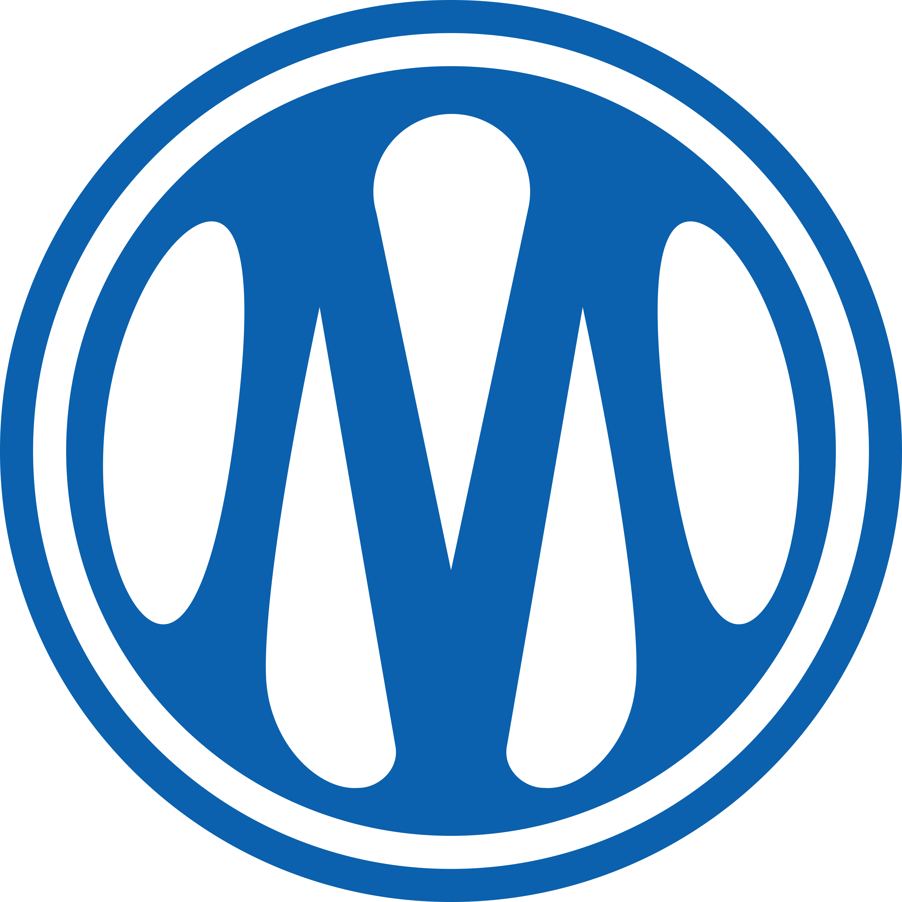 Olympique de Marseille