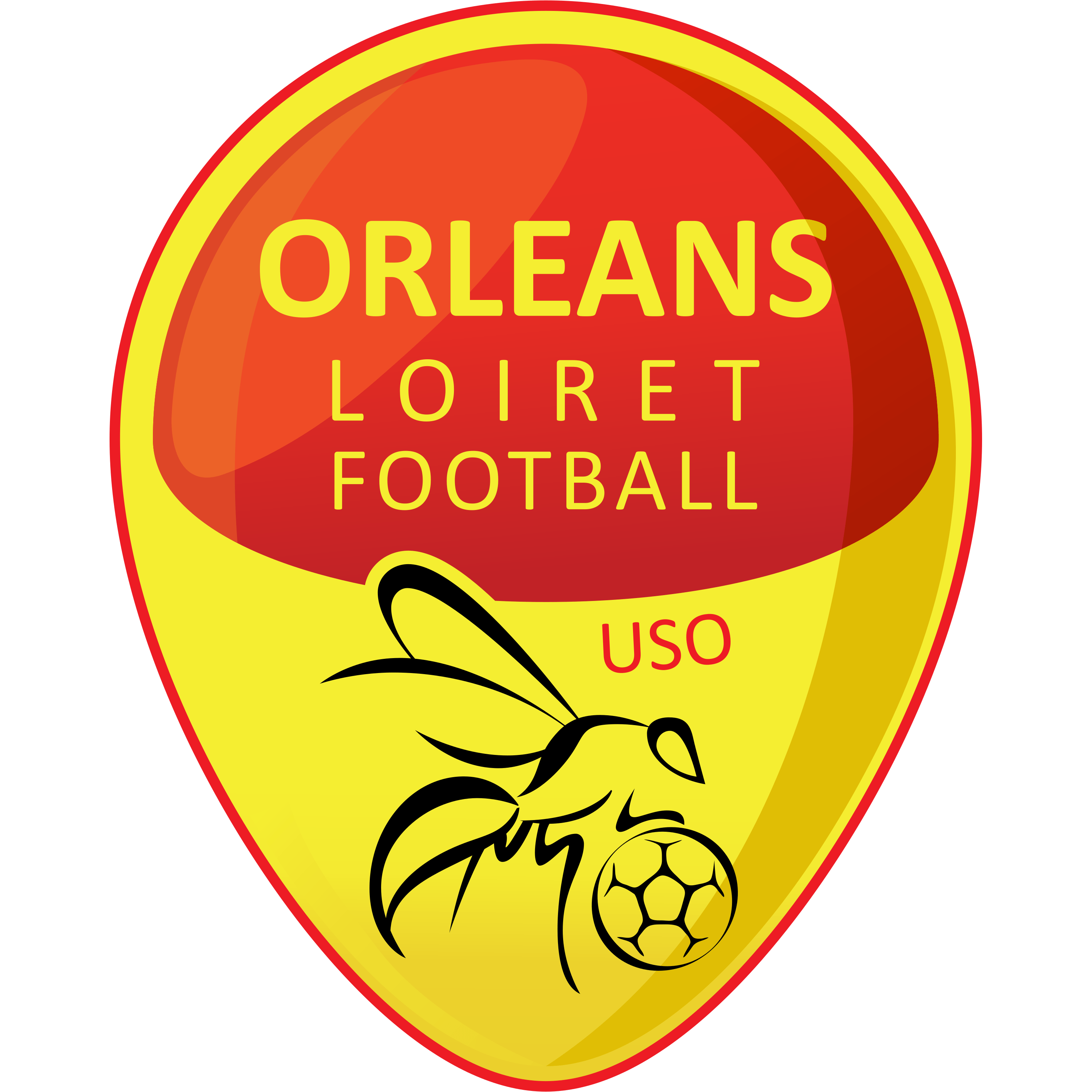 Orléans Loiret Football